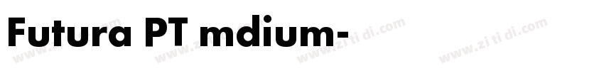 Futura PT mdium字体转换